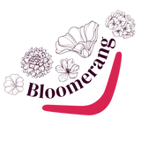 Bloomerang logo